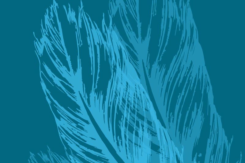 Auf blauem Hintergrund ist eine hellblaue Zeichnung von zwei Federn zu sehen.